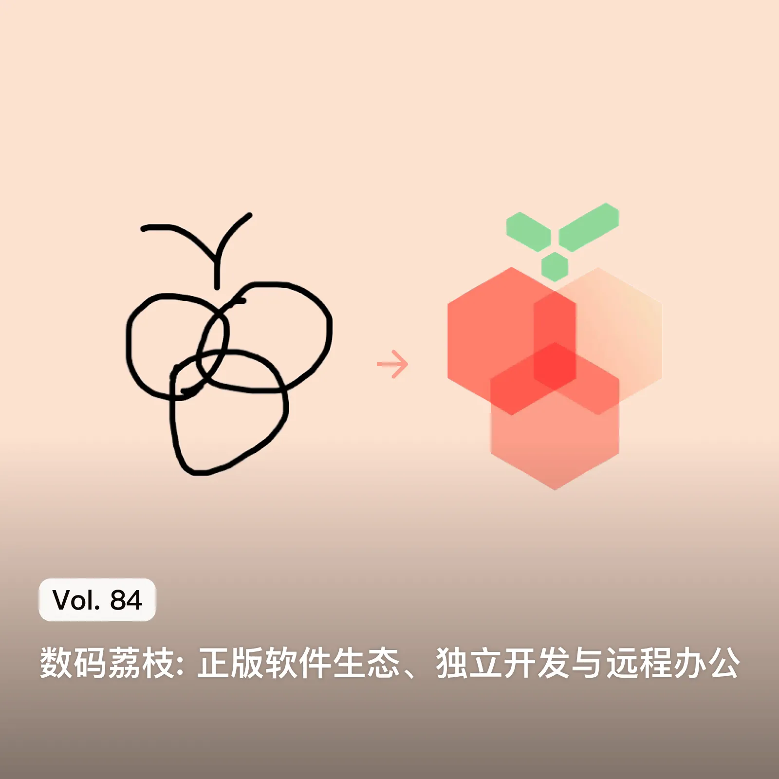 Vol. 84 数码荔枝: 正版软件生态、独立开发与远程办公